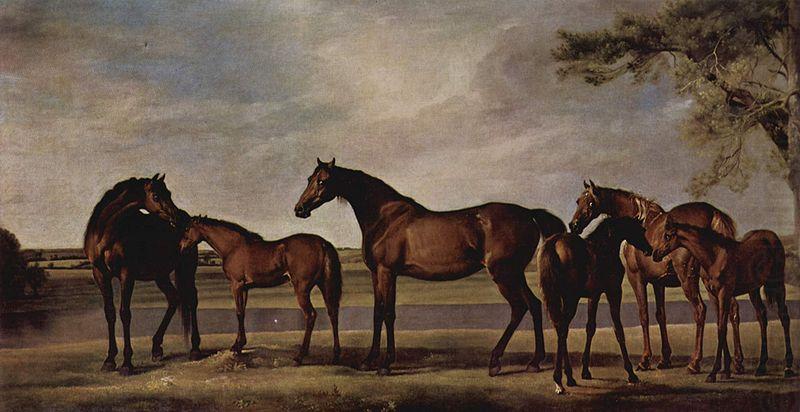 George Stubbs Stuten und Fohlen angstigen sich vor einem heraufziehenden Unwetter china oil painting image